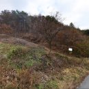 충남부동산공인중개사 이미지