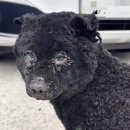 청년사료 이미지