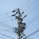 이코노미호텔 명동 프리미어점 이미지