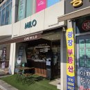 카페마일로신대점