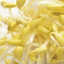 홍대불고기 이미지