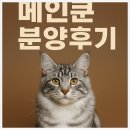 쿤광고 | 메인쿤분양후기 제일 많은 곳