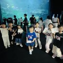 증산용인대태권도장 네이버블로그