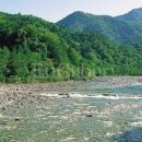 백담계곡 이미지