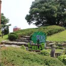 포토존 이미지
