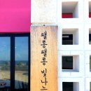 팰롱팰롱빛나는