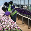 백양산 양묘장 이미지