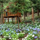 성림포레스트