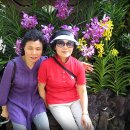 광산노인복지관 이미지