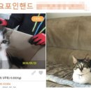 포인핸드 이미지