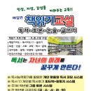 책벌레독서논술학원 Daum카페