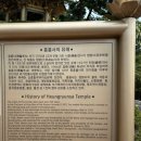뚱지