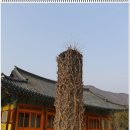 청도시장 이미지