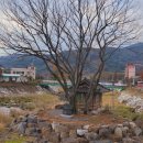 산동면사무소 이미지