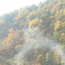 유일에 대한 묵상 이미지