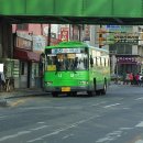 동진버스 이미지