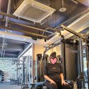 황바디짐 이미지