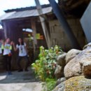 5월 감꽃 10월 홍시 이미지