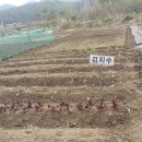 냉천주유소 이미지