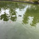 88철판오리 | 대만 타이중 3박 4일 기록(1) 🇹🇼