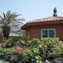 야자수정원 이미지