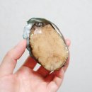 태양수산유통 네이버블로그