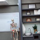 국보한의원 네이버블로그