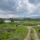 청도천10 이미지