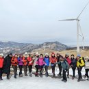 정기목장 이미지