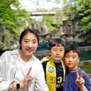 천제연폭포 | 제주 중문관광단지 천제연폭포 아이와 가볼만한곳 2폭포 3폭포 후기