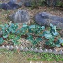 보리어린이집 이미지