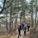 형제봉길 이미지