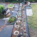 정원야생화 이미지