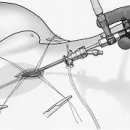 가디언 동물의료센터 이미지