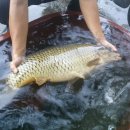 한수카센타 이미지