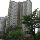 영통로174번길 네이버블로그