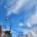 척추자세교정 걷기 테라피 이미지