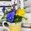 은혜공인중개사사무소 이미지