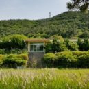 손죽민박 이미지