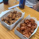 청벽거북 이미지