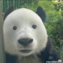 늘새로와 이미지