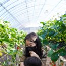 봄이네 농장 이미지