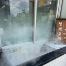 청계교자 | 동탄 청계동 카림 항아리상가 혼밥 판모밀 만두 맛집 청계교자