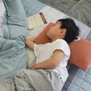바니키즈랜드 이미지