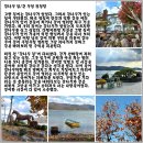 감나무 집 이미지