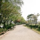 장자호수공원 이미지