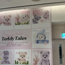 테디스토어