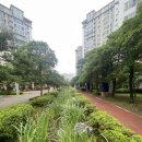 한라비발디1단지경로당 이미지
