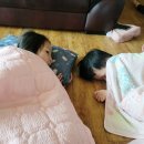 두빛나래어린이도서관 1층 이미지