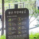 무장애숲 | 은평구 봉산 편백나무 치유의숲 무장애숲길 방문후기